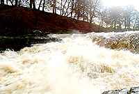 River Ure - Aysgarth Falls 